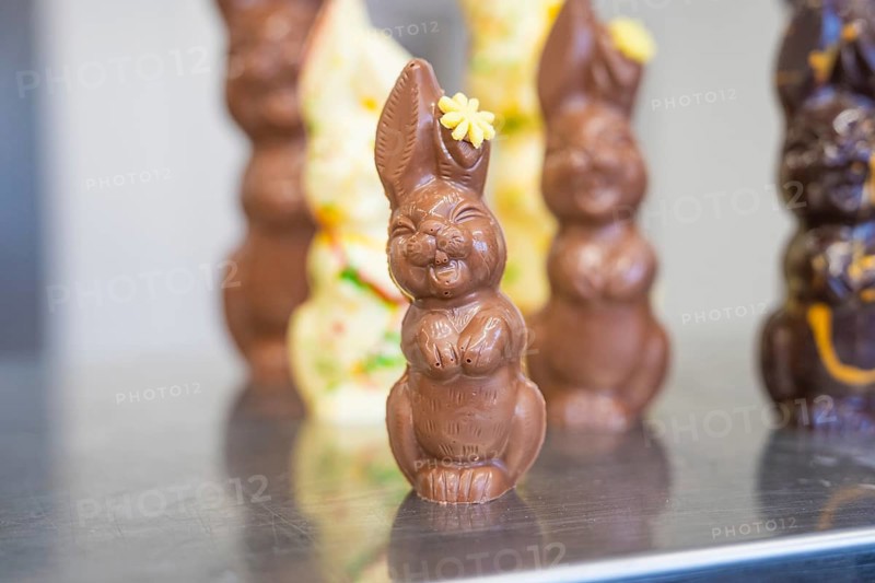 Chocolate bunnies in various sizes as classic Easter decoration, Easter production of regional products, Haselstaller Hof, Gechingen, Calw district, Germany