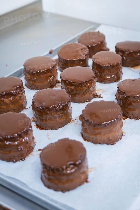 Several chocolate-glazed cakes stand clean on a paper-lined baking tray, Vegan Tart Production, Haselstaller Hof, Gechingen, Germany