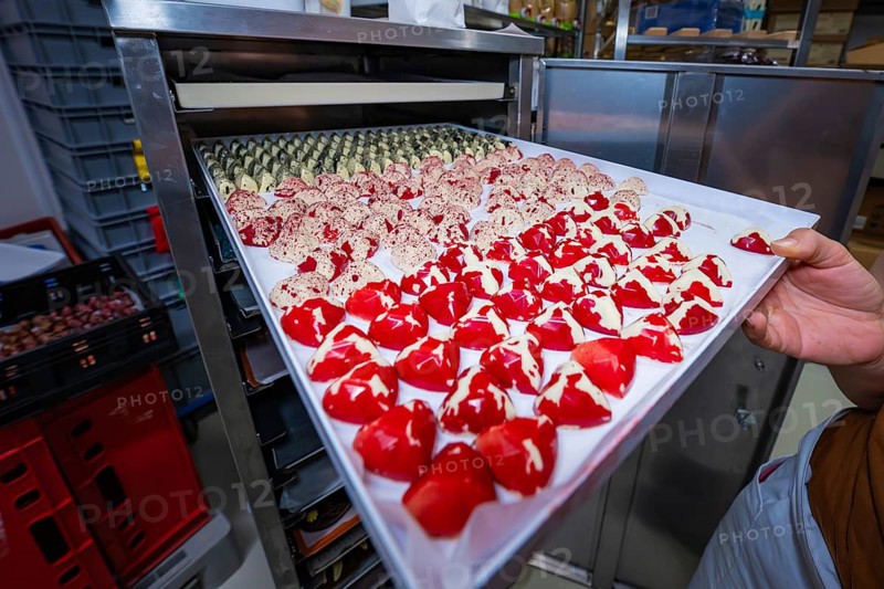 Several chocolate molds on a baking tray, including red-white and nutty patterns, Easter production of regional products, Haselstaller Hof, Gechingen, Calw district, Germany