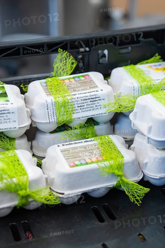 Easter wrapped egg cartons with green decoration in a kitchen, chocolate quail eggs, Easter production, Haselstaller Hof, Gechingen, Germany