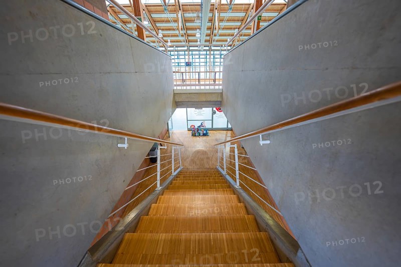 Wooden staircase with concrete walls in a modern public building, Schlehengäu Sporthalle Gechingen, Calw district, Germany
