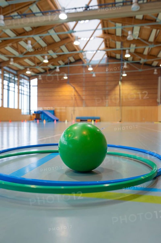Green ball surrounded by tires in a large gym with wooden ceiling, Schlehengäu Sporthalle Gechingen, Calw district, Germany