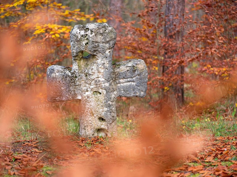 Medieval stone cross in the forest in autumn, atonement cross, murder cross, court cross, Spaal desert, Uhlstädt-Kirchhasel, Thuringia, Germany