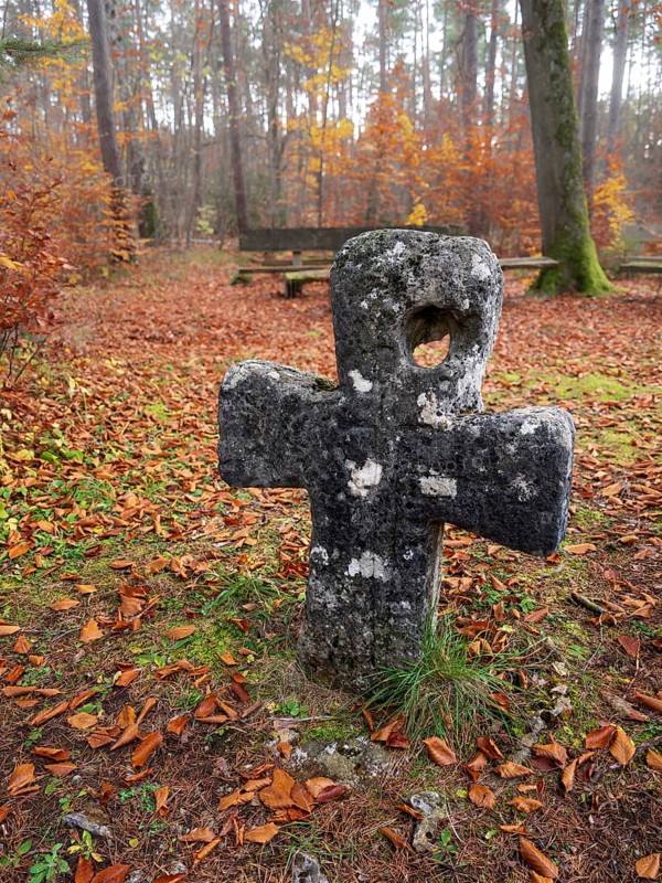 Medieval stone cross in the forest in autumn, atonement cross, murder cross, court cross, Spaal desert, Uhlstädt-Kirchhasel, Thuringia, Germany