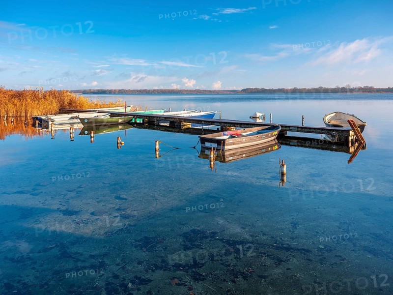 Jetty with rowing boats at Schaalsee in morning light, reeds in autumn colors, Schaalsee Biosphere Reserve, Mecklenburg-Western Pomerania Germany