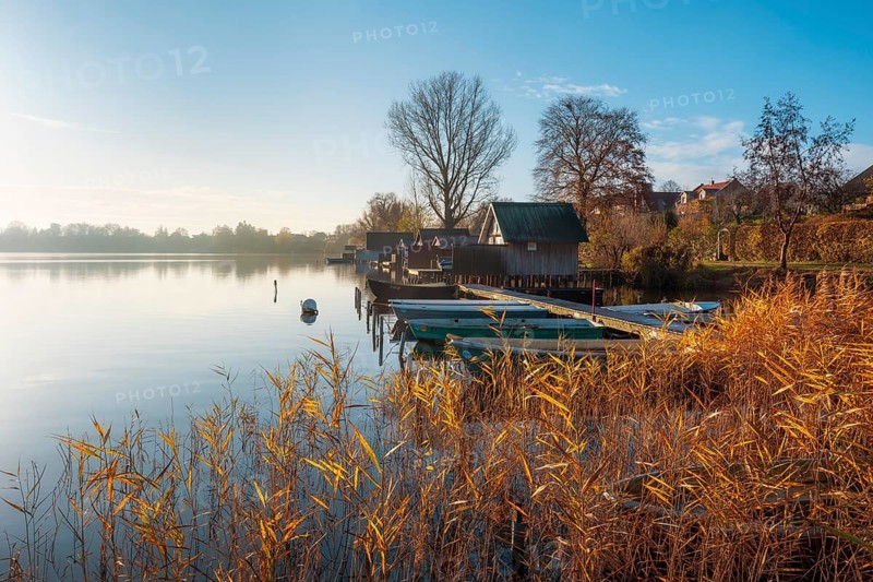 Jetty with rowing boats and boathouses at Schaalsee in morning light, reeds in autumn colors, Schaalsee Biosphere Reserve, Mecklenburg-Western Pomerania Germany