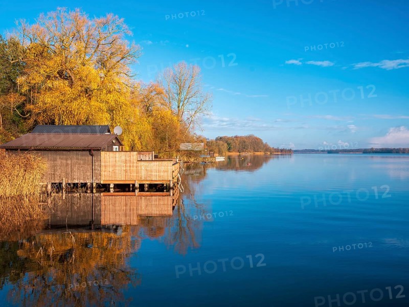 Shore with boathouses on Schaalsee in morning light, reeds and trees in autumn colors, Schaalsee Biosphere Reserve, Mecklenburg-Western Pomerania Germany