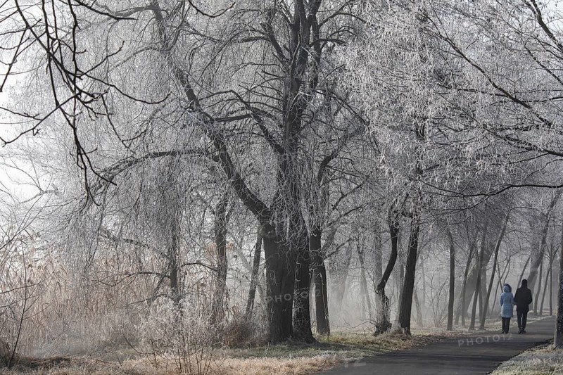 Winter park walk. Russia