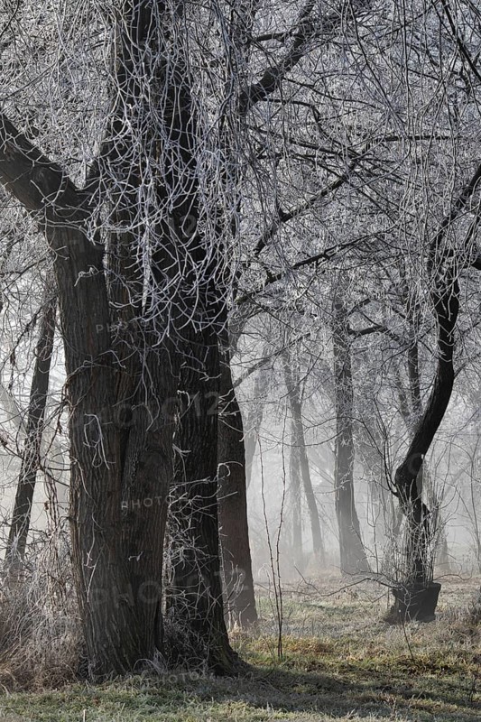 Winter park. Russia