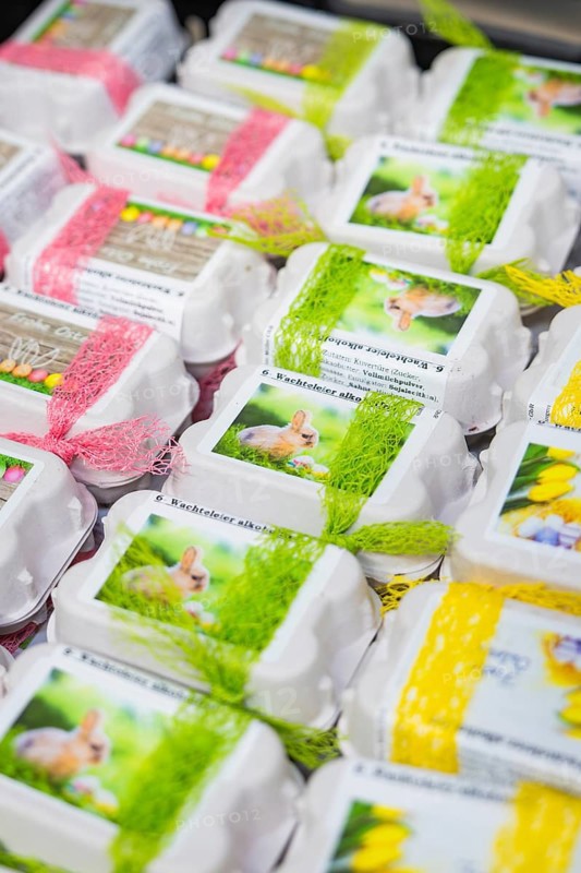 Egg cartons decorated with green and yellow ribbons and a rabbit motif, chocolate quail eggs, Easter production, Haselstaller Hof, Gechingen, Germany