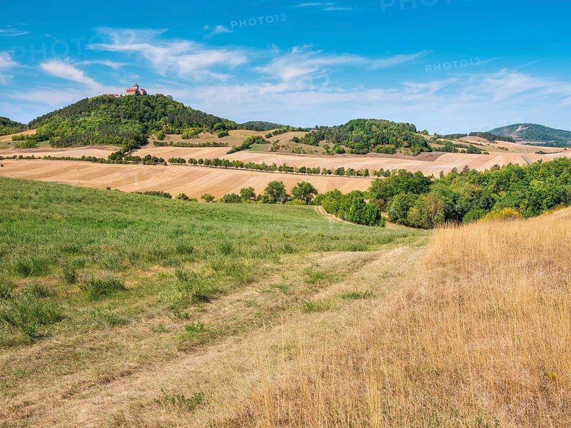 View of hilly landscape with meadows, fields and forests of Wachsenburg Castle and the ruins of Gleichen Castle in summer, Burgenensemble Drei Gleichen, Thuringian Burgenland, Thuringian Basin, Holzhausen, Thuringia, Germany