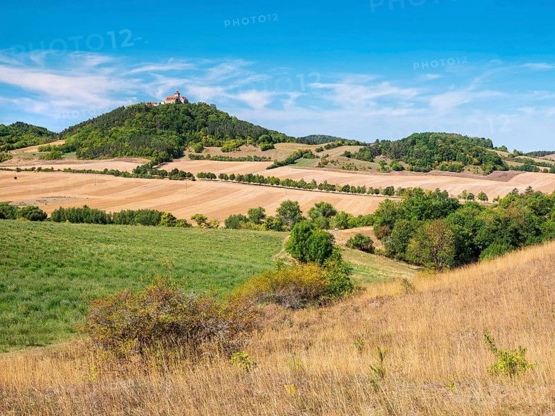 View of hilly landscape with meadows, fields and forests of Wachsenburg Castle in summer, Burgenensemble Drei Gleichen, Thuringian Burgenland, Thuringian Basin, Holzhausen, Thuringia, Germany
