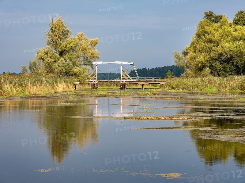 Traditional wooden bridge, folding bridge, across the Trebel River in the Trebel Valley, Peenetal River Landscape nature park Park, Mecklenburg-Western Pomerania, Germany