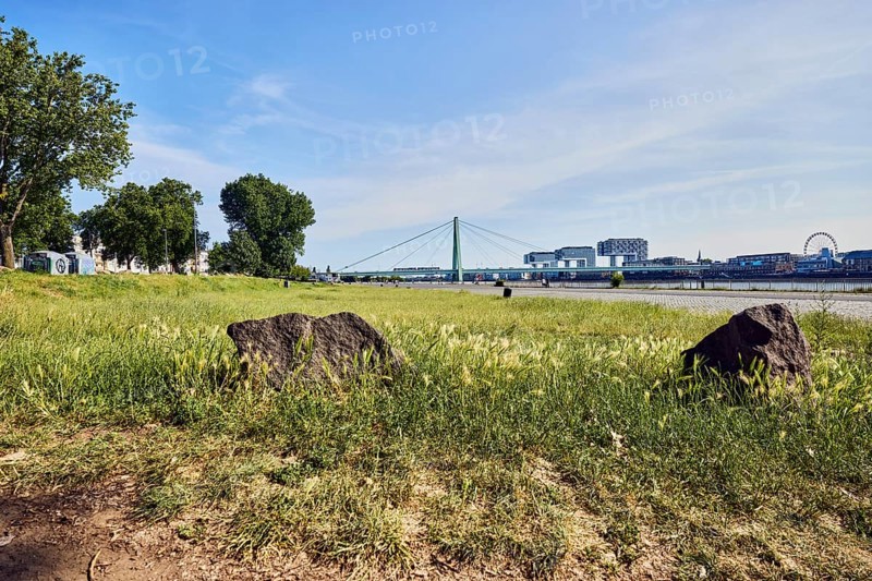 Herbert-Liebertz-Wiese, Rhine river, trail, lawn, trees, branches, stones, general architecture, modern buildings, cable-stayed bridge, waterfront, frog eye view, blue sky, cirrus clouds, cirrostratus clouds, Severinsbrücke, Deutz shipyard, Cologne, district-free city, North Rhine-Westphalia, Germany