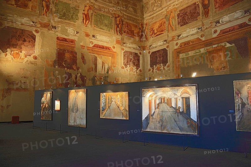 Gualtieri Palace, wall paintings and exhibition at Museo Documentario e Centro Studi Antonio Ligabue, Emilia-Romagna, Italy