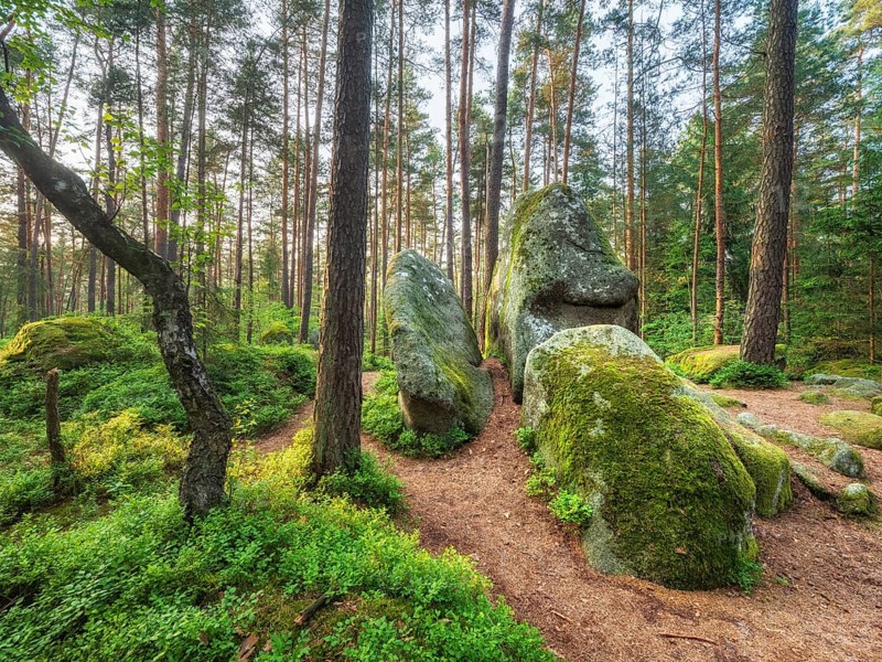 Geotope of God's hands, rock formation in pine forest, Lerautal near Leuchtenberg, Upper Palatinate, Bavaria, Germany