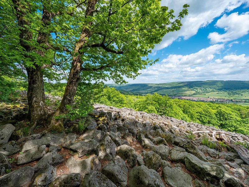 Blockheap on the Schafstein, former rock glacier, view over the Rhön countryside, Hessian Rhön, Gersfeld, Hesse, Germany