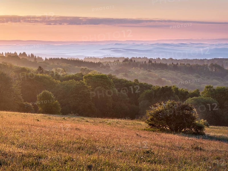 View of Rhön countryside with morning fog at sunrise, species-rich mountain meadow and forest, Rhön Biosphere Reserve, Bischofsheim in der Rhön, Lower Franconia, Bavarian Rhön, Bavaria, Germany