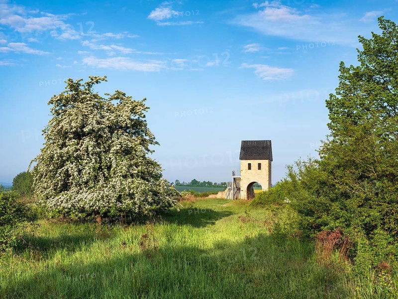 The early medieval Königspfalz Werla from the 10th century, reconstructed west tower of the castle complex with gate, Werlaburgdorf, Lower Saxony, Germany