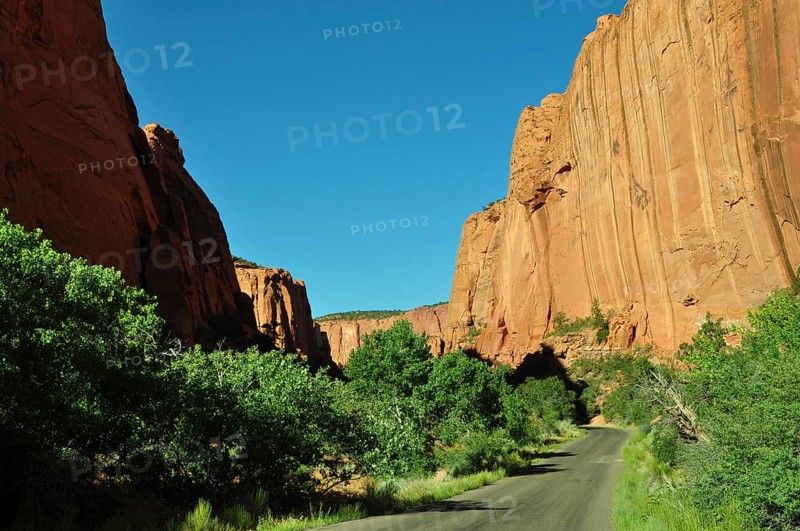 A road leads through a green gorge with distinctive rocks and lush greenery in a desert, Grand Staircase Escalante National Monument, Utah, USA