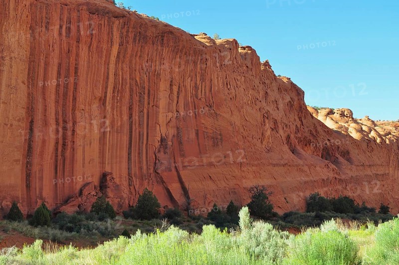 High red rock wall with vegetation at the bottom, Grand Staircase Escalante National Monument, Utah, USA