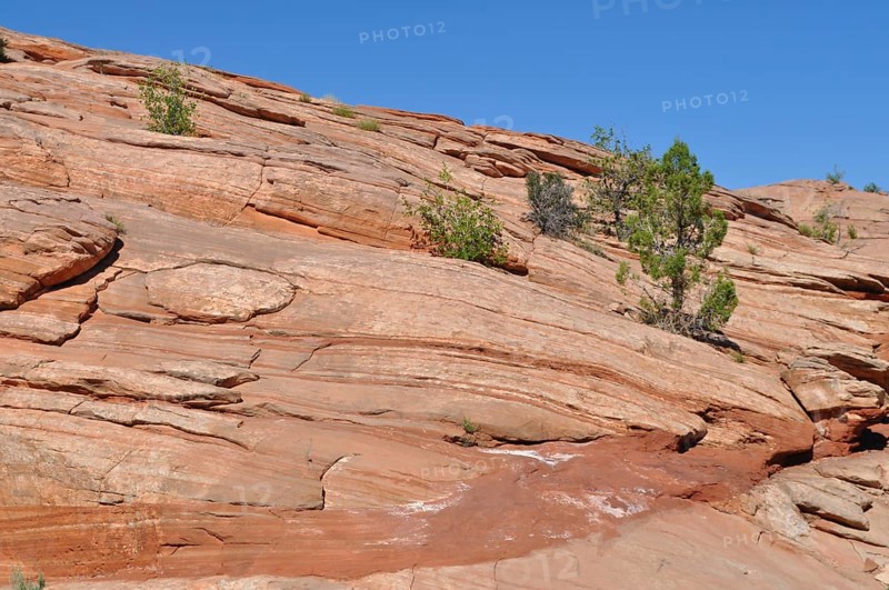 Large reddish rocks with visible layers and sparse plant growth under a blue sky, Grand Staircase Escalante National Monument, Utah, USA