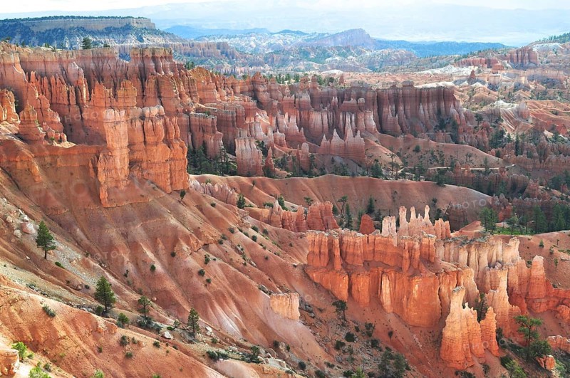 Impressive rock formations and canyons with isolated trees in Bryce Canyon National Park, Utah, USA