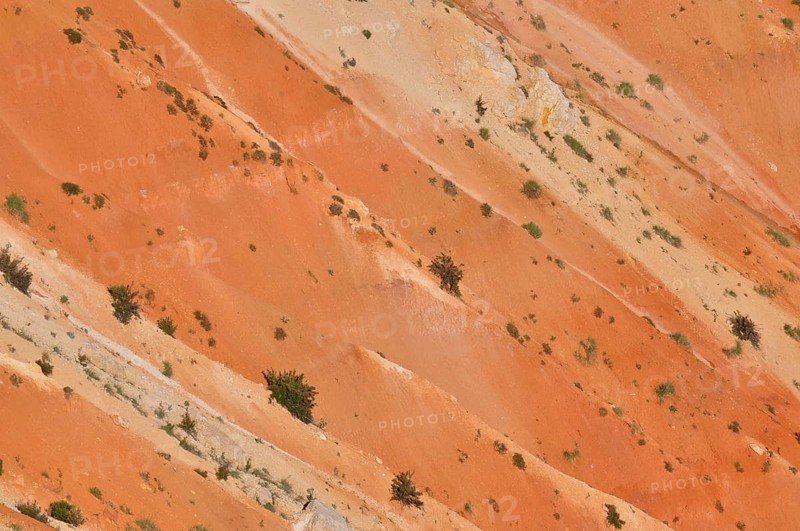 Close view of orange rocks with minimal vegetation, Bryce Canyon National Park, Utah, USA