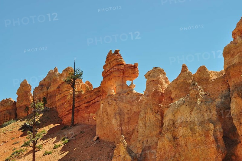 Remarkable rock formations against clear blue sky in natural surroundings, Bryce Canyon National Park, Utah, USA
