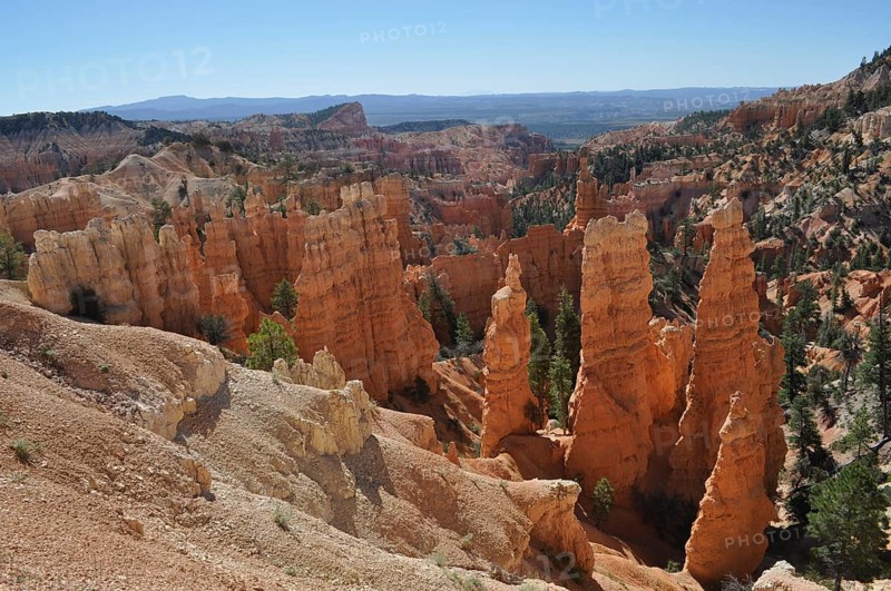Red rock formations with trees in a canyon landscape with blue sky, Bryce Canyon National Park, Utah, USA