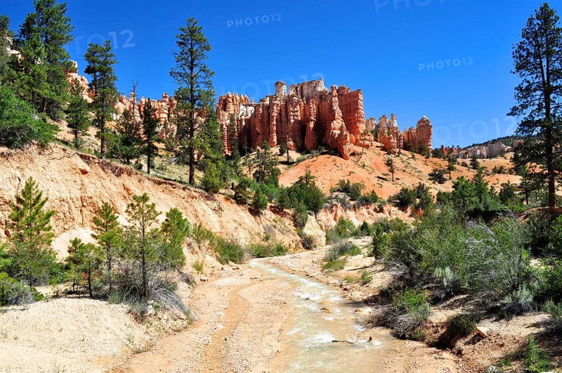 A small river flows through a landscape of distinctive rock formations and forest, Bryce Canyon National Park, Utah, USA
