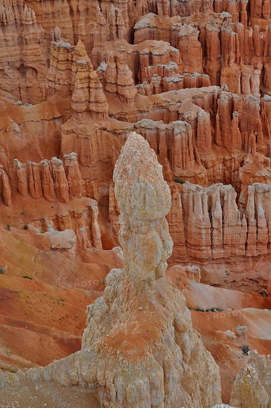 Detailed rock formations in bright orange show natural beauty, Bryce Canyon National Park, Utah, USA