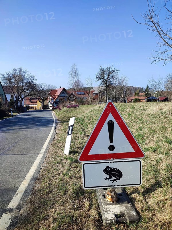 Caution sign with frog symbol (rana) on a rural road, animal protection in the Franconian Forest nature park Park