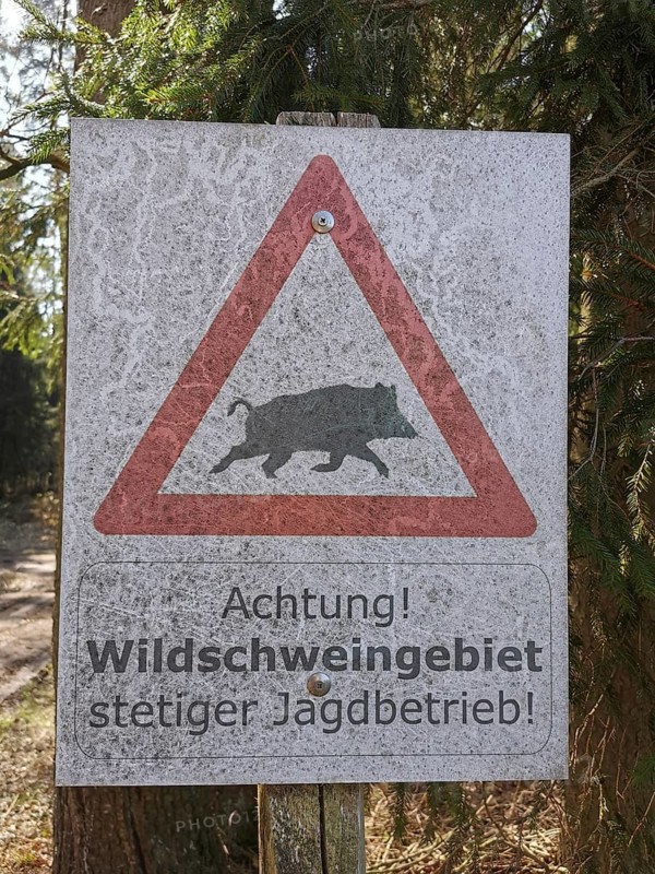 Warning sign against wild boars and hunting area in a forest, Franconian Forest nature park Park