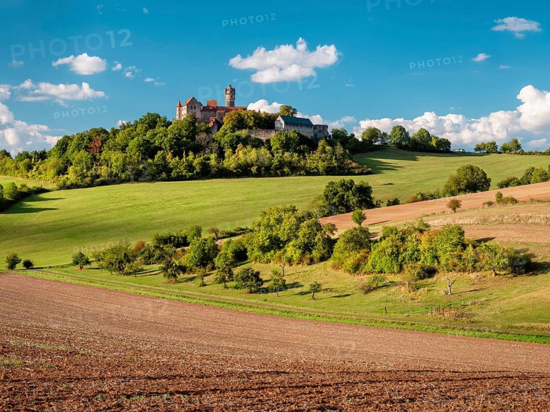 Field landscape in Wetterau in summer under blue sky with cumulus clouds, Ronneburg in the background, Hesse, Germany