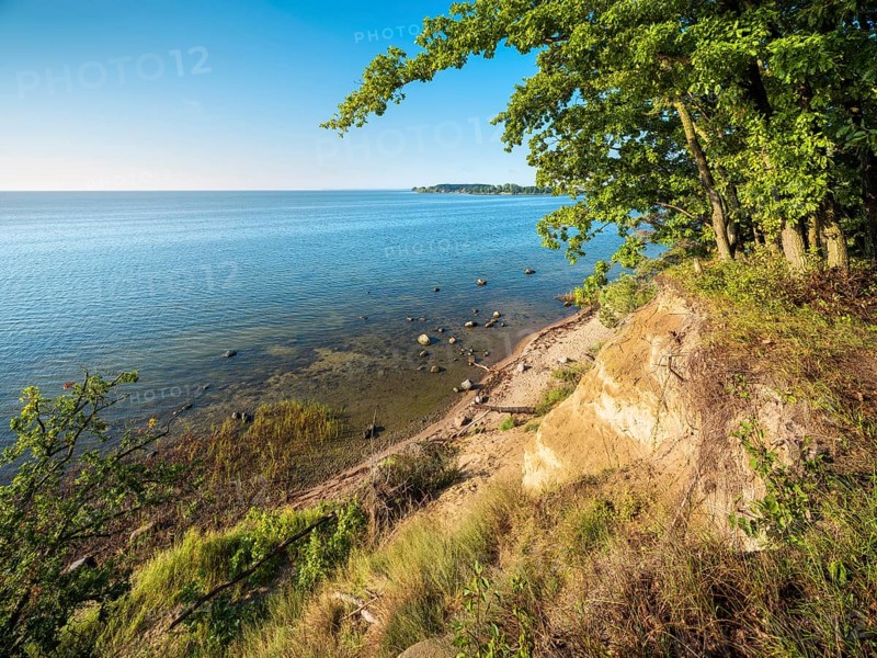 Cliff coast with oak forest near Putbus, view of the Baltic Sea, Rügen island, Mecklenburg-Western Pomerania, Germany