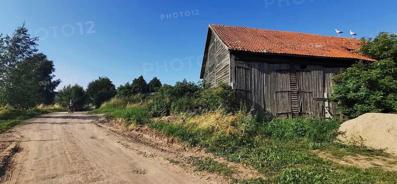 Rural scene with storks (ciconia) on a barn and a dusty dirt track, Masuria, Poland