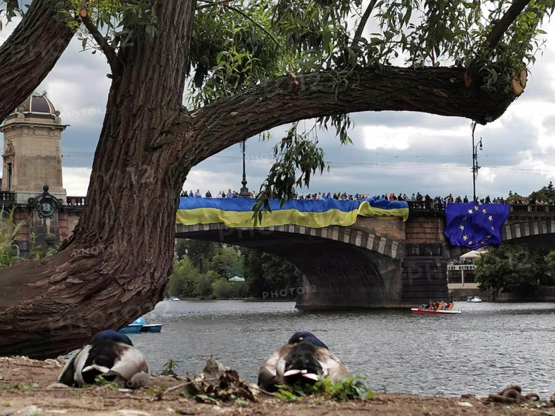 Many people protest against the war on a bridge over the Vltava with a Ukrainian banner, two ducks (anatis) lie on the bank under a tree and watch, interesting perspective, Prague, Czech Republic