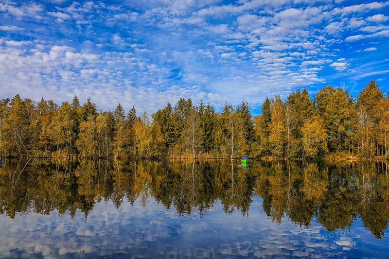 Tranquil moor lake with fishing boat and autumn trees reflecting in the water, under a blue, slightly cloudy sky, Pfrunger-Burgweiler Ried, Wilhelmsdorf, Ravensburg district, Baden-Württemberg, Germany