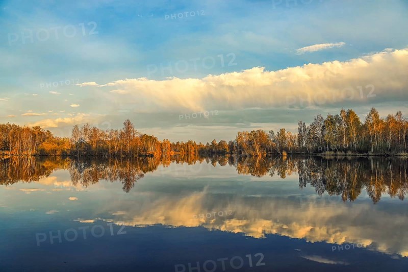 Tranquil landscape with autumn trees reflecting in the still lake, surrounded by a blue sky with clouds, Pfrunger-Burgweiler Ried, Nillsee, Wilhelmsdorf, Ravensburg district, Baden-Württemberg, Germany