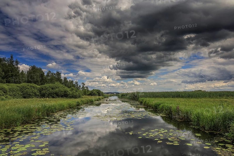 A river with water lilies and grasses, above a dramatic sky with dark clouds, Federsee lake Canal, Federseeried Nature Reserve, Bad Buchau, Biberach District, Baden-Württemberg, Germany