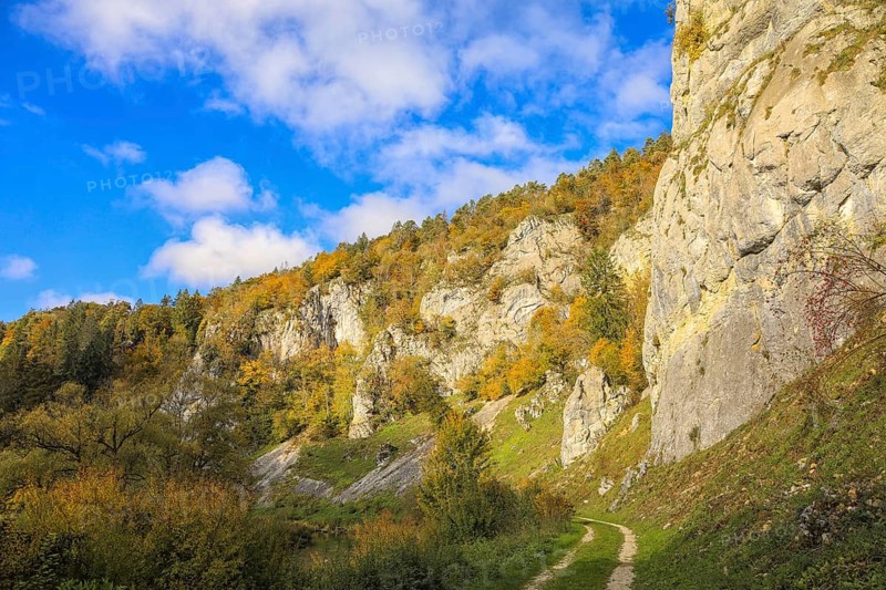 Colourful autumn landscape with rocks and forest under blue sky, a trail runs at the foot of the rocks, Fridingen an der Donau, Stiegelesfelsen nature reserve, Upper Danube nature park Park, Tuttlingen district, Baden-Württemberg, Germany