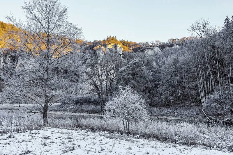Snowy landscape with trees, the Danube and Jurassic limestone cliffs in the morning sun, Upper Danube nature park Park, Fridingen, Tuttlingen district, Baden-Württemberg, Germany