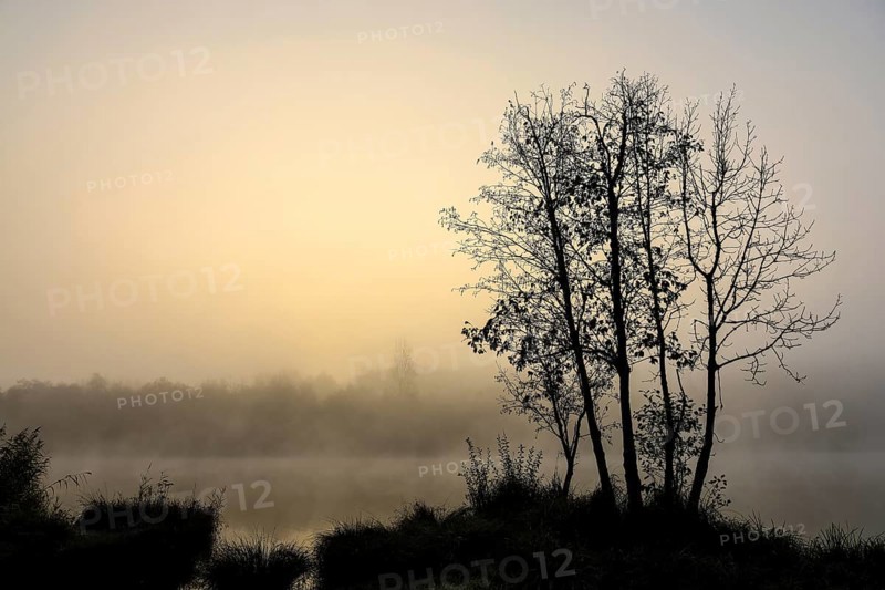 A quiet lake at sunrise with foggy trees in a peaceful atmosphere, Schwackenreuter-Baggerseen-Rübelisbach nature reserve, Mühlingen, Konstanz district, Baden-Württemberg, Germany