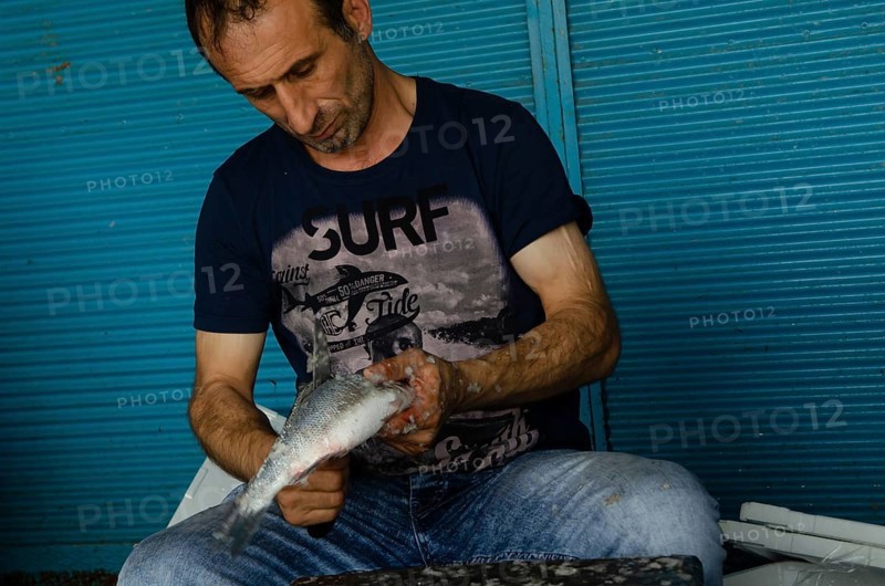 Trabzon, Turkey. 8th September 2014 A Turkish fisherman cleaning fish in the fish market of the Black Sea port of Trabzon, Turkey