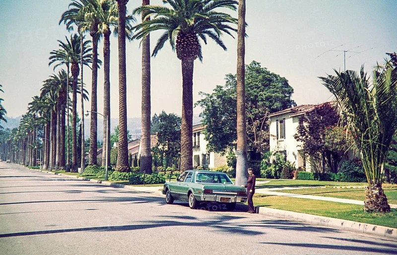 Woman standing by Chrysler Plymouth Volarét car in Beverly Hills, California, characterized by its signature towering palm trees, USA 1976