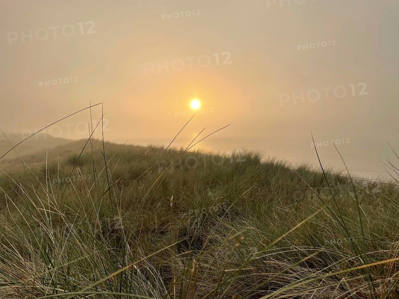 Sunset, fog on the beach in the Western Pomerania Lagoon Area National Park, Darss-Zingster Bodden Range, Baltic Sea, peninsula, nature, autumn, nature reserve, Fischland-Darß-Zingst, Mecklenburg-Western Pomerania, Germany