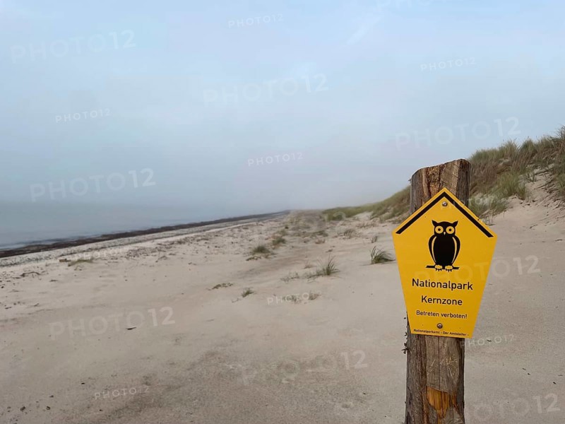 National Park core zone: No entry is allowed. Beach in the Western Pomerania Lagoon Area National Park, Darss-Zingster Bodden Range, Baltic Sea, Peninsula, Nature, Autumn, Nature Reserve, Fischland-Darß-Zingst, Mecklenburg-Western Pomerania, Germany