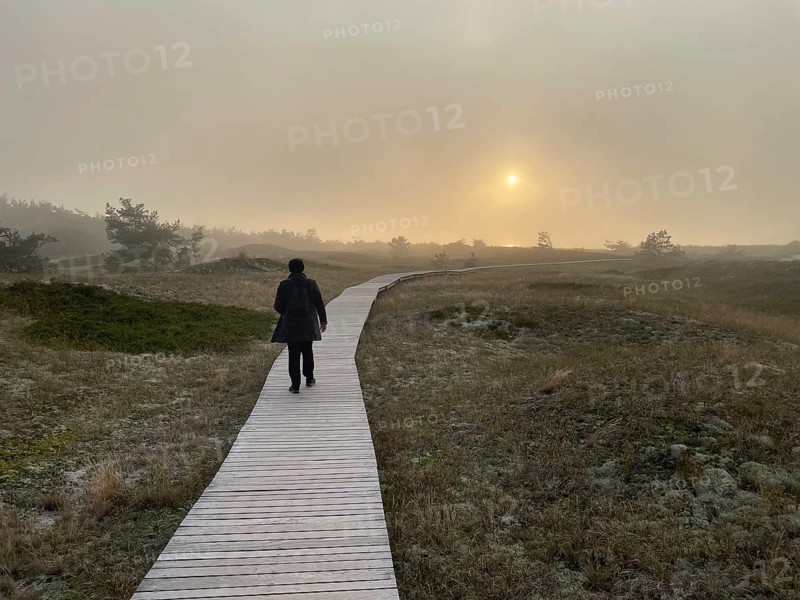 Walking at sunset, fog. Landscape with hiking trails through the Western Pomerania Lagoon Area National Park. panorama, Darss-Zingster Boddenkette, Baltic Sea, peninsula, nature, autumn, nature reserve, Fischland-Darß-Zingst, Mecklenburg-Western Pomerania, Germany