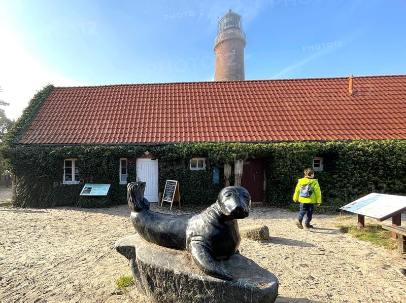 The NATUREUM at Darßer Ort, branch of the Stralsund Maritime Museum, Western Pomerania Lagoon Area National Park, Darss-Zingster Bodden Range, Baltic Sea, peninsula, nature, autumn, nature reserve, Fischland-Darss-Zingst, Mecklenburg-Western Pomerania, Germany